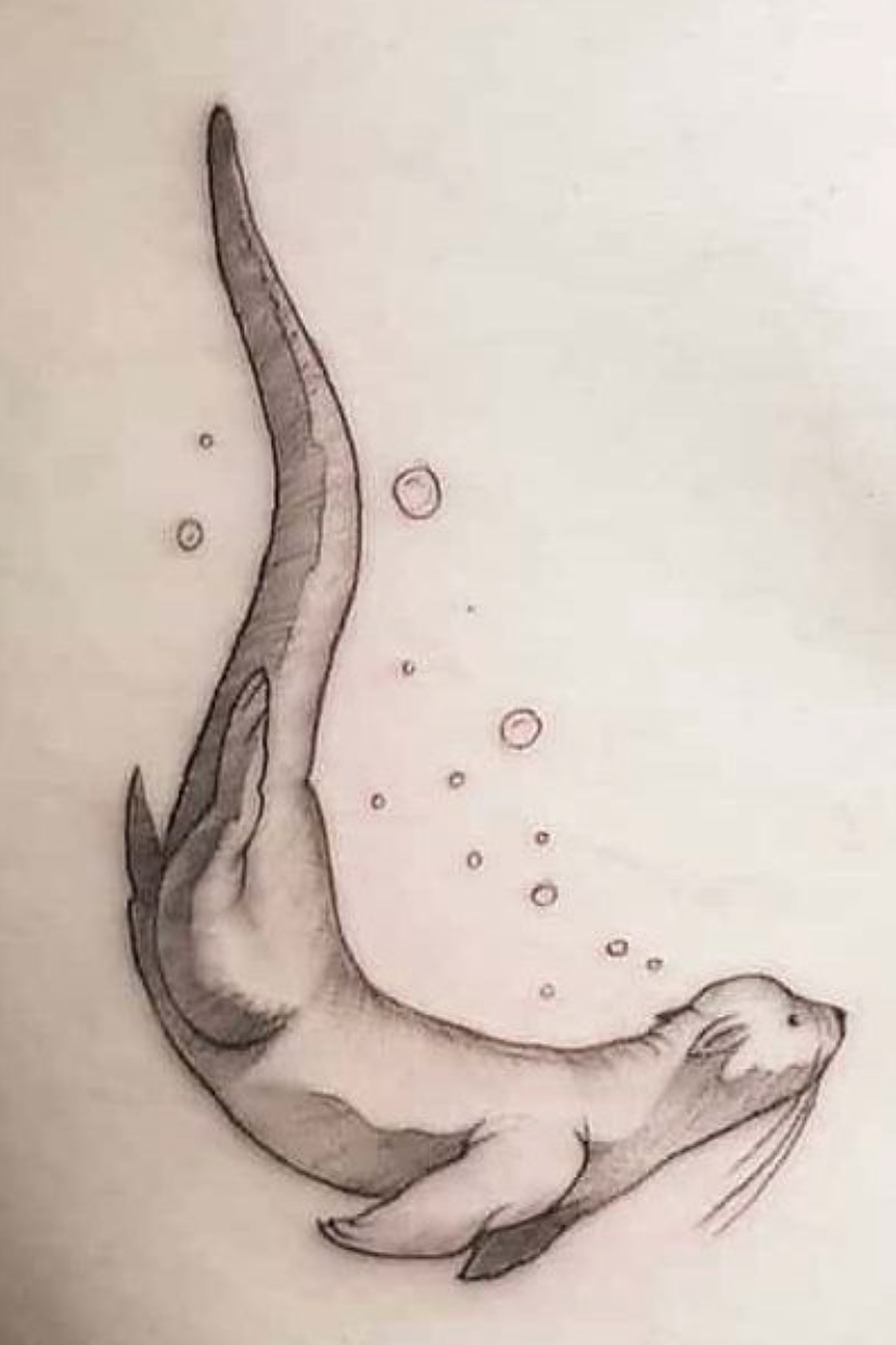 Otter sketch